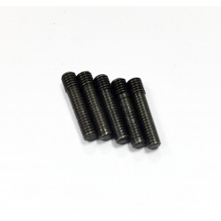 PERNI A VITE M3X13MM (5)