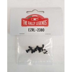 FLAT SCREWS M3X6 (10)