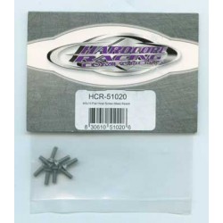 VITI TITANIO M3X10 TESTA...