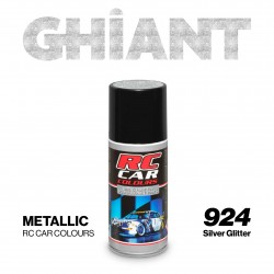 lexan paint - silver...