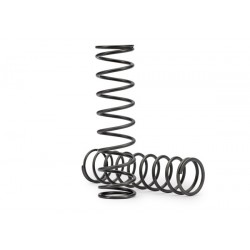 Molle ammortizzatori GTX...