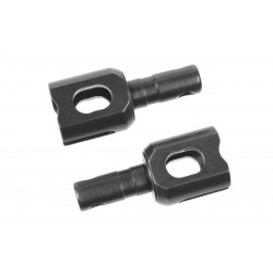 Team Corally Bicchierini...