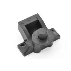 Team Corally tappo rinvio...