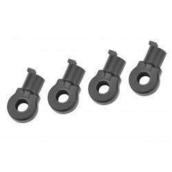 Team Corally giunti in...