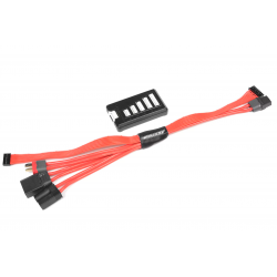 Team Corally Cavo multi-carica e bilanciamento