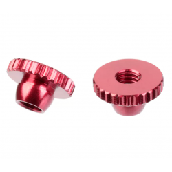 Team Corally ghiera...