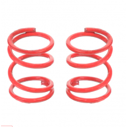 Team Corally Molle...