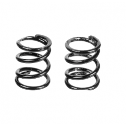 Team Corally Molle...