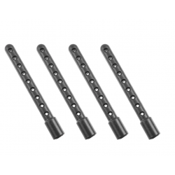 Team Corally Colonnine...