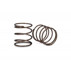 Mini GTR Springs (1.19-Rate...