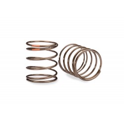 GTR Short Shock Springs...