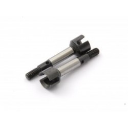 MOZZI POSTERIORI CON...