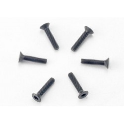 SET VITI 2.5X12MM TESTA...